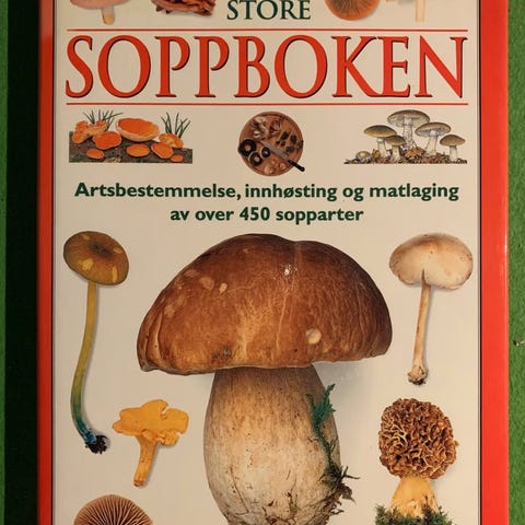 Annonsebilde