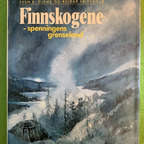 Annonsebilde