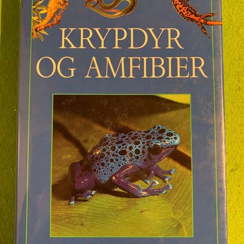 Annonsebilde