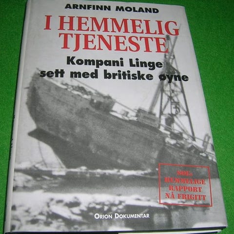 Annonsebilde