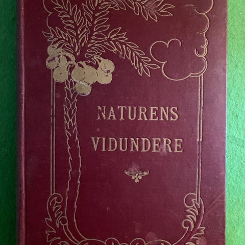 Annonsebilde