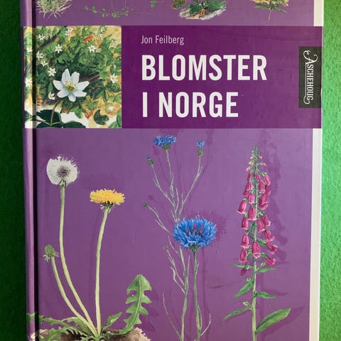 Annonsebilde