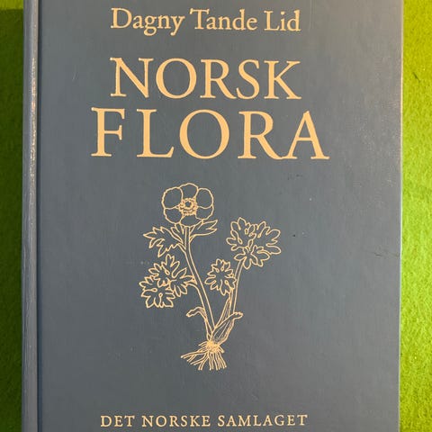 Annonsebilde