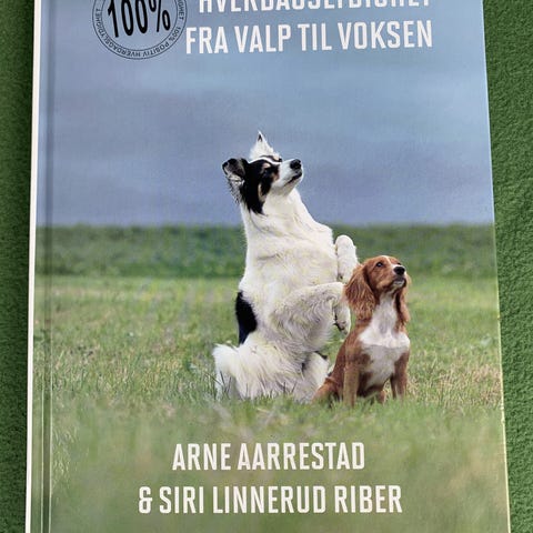 Annonsebilde