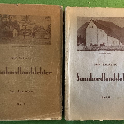 Annonsebilde
