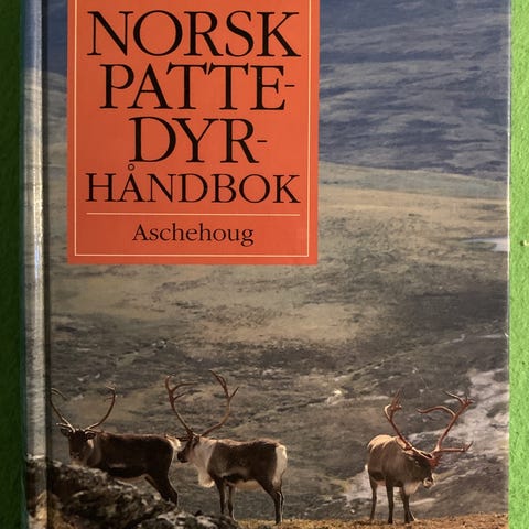 Annonsebilde
