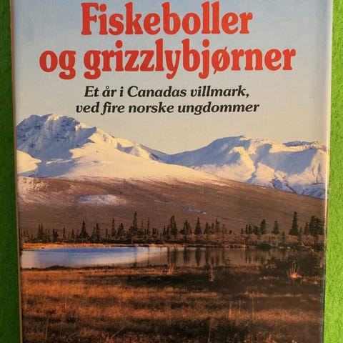 Annonsebilde