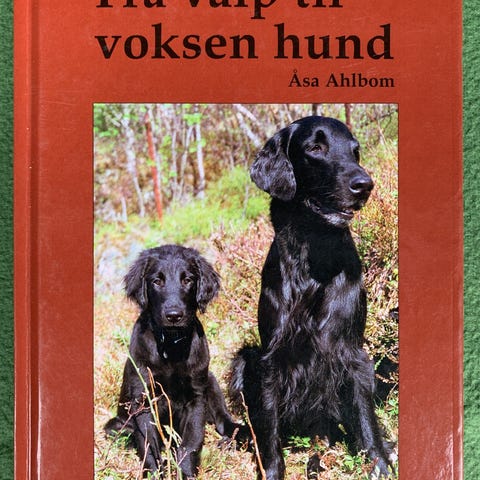 Annonsebilde