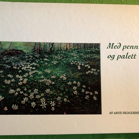 Annonsebilde
