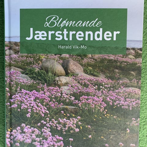 Annonsebilde