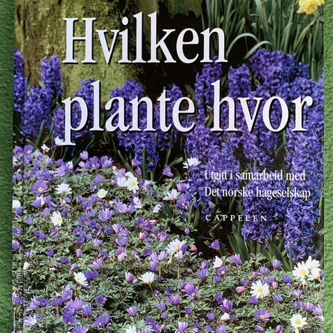 Annonsebilde