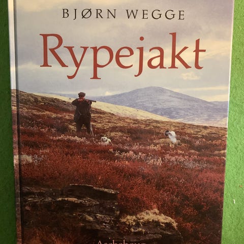 Annonsebilde