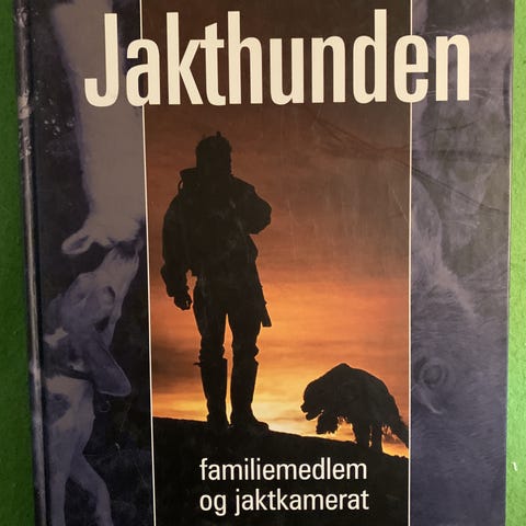 Annonsebilde