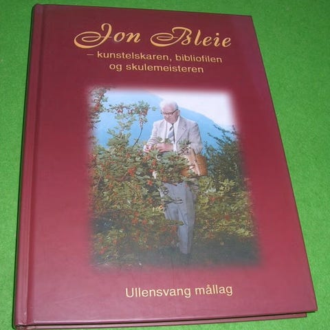 Annonsebilde