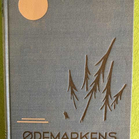 Annonsebilde