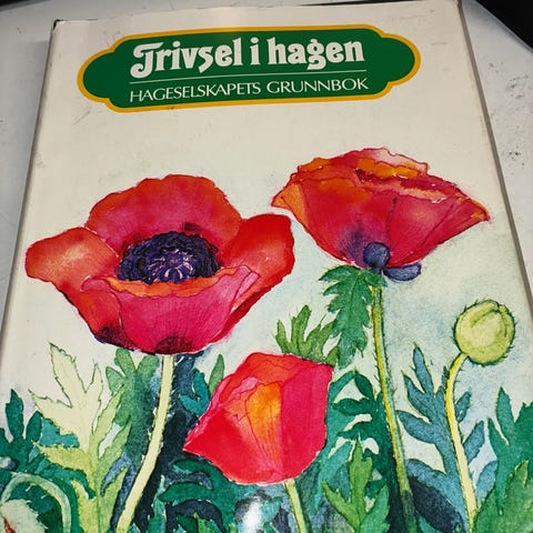 Annonsebilde