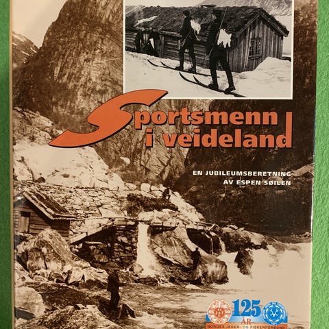 Annonsebilde