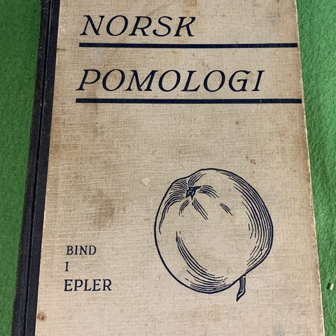 Annonsebilde