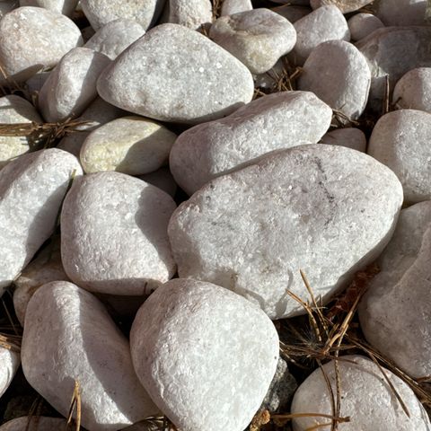 Annonsebilde