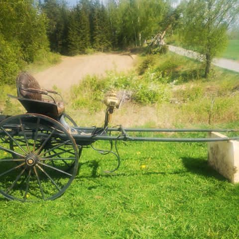Annonsebilde