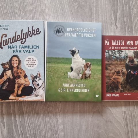 Annonsebilde