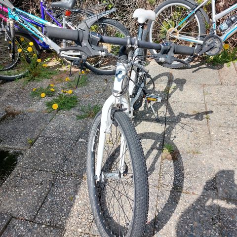 Annonsebilde