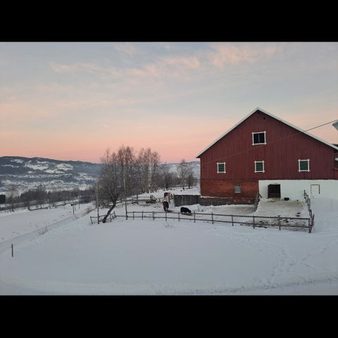 Annonsebilde