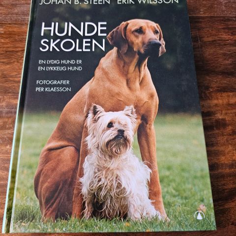 Annonsebilde