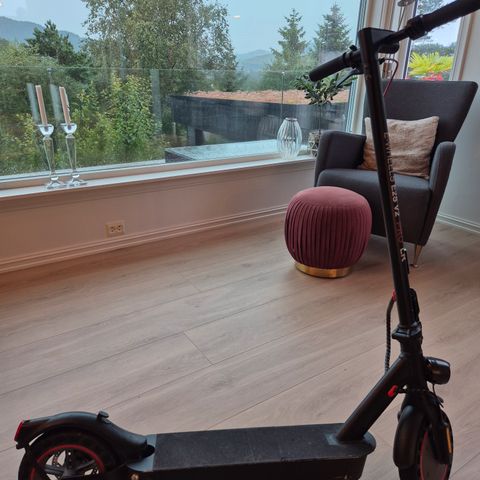 Annonsebilde