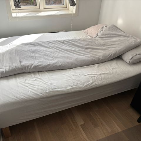 Annonsebilde