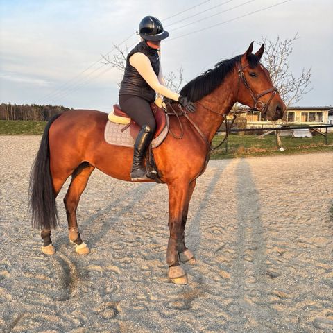 Annonsebilde