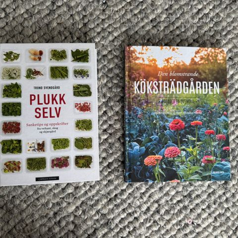 Annonsebilde