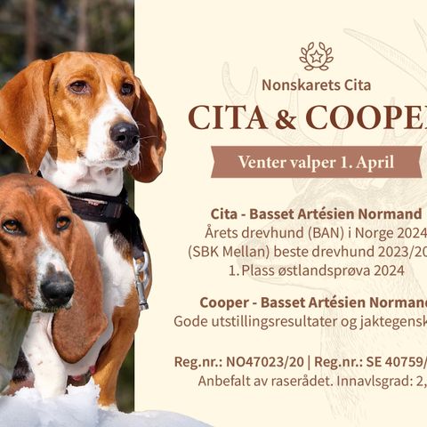 Annonsebilde