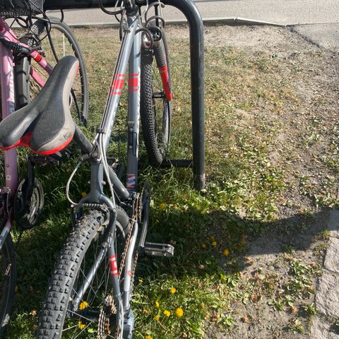 Annonsebilde