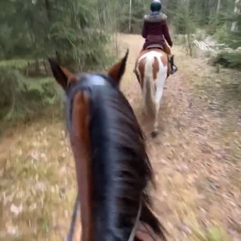 Annonsebilde