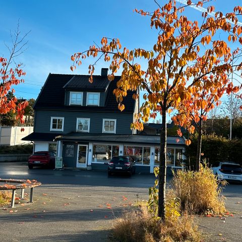 Annonsebilde
