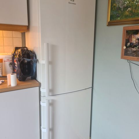 Annonsebilde