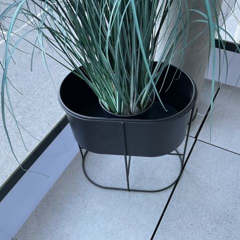 Annonsebilde