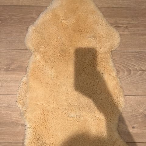Annonsebilde