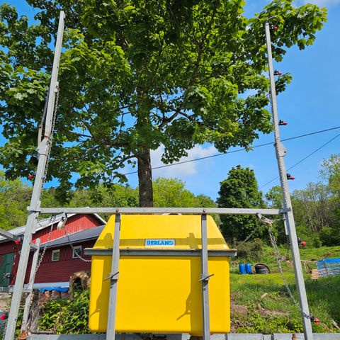 Annonsebilde