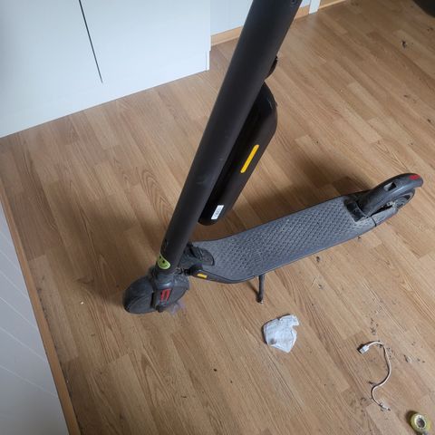 Annonsebilde