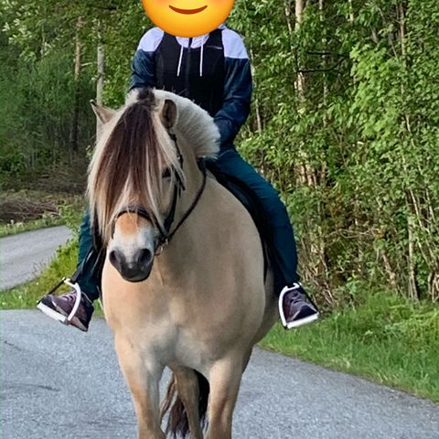 Annonsebilde