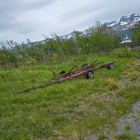 Annonsebilde