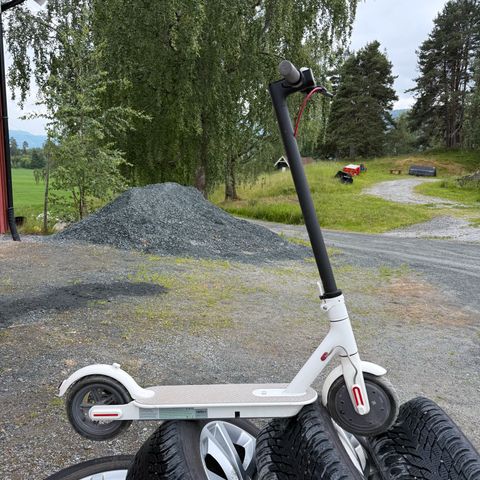 Annonsebilde