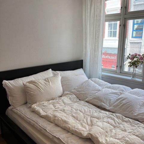 Annonsebilde