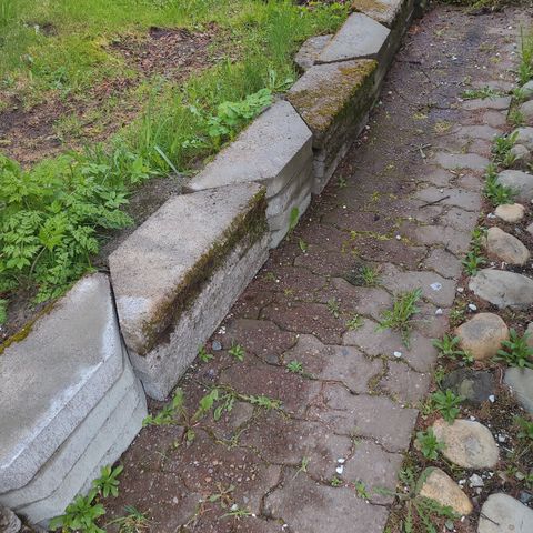 Annonsebilde