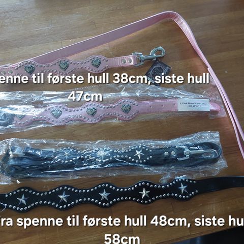 Annonsebilde