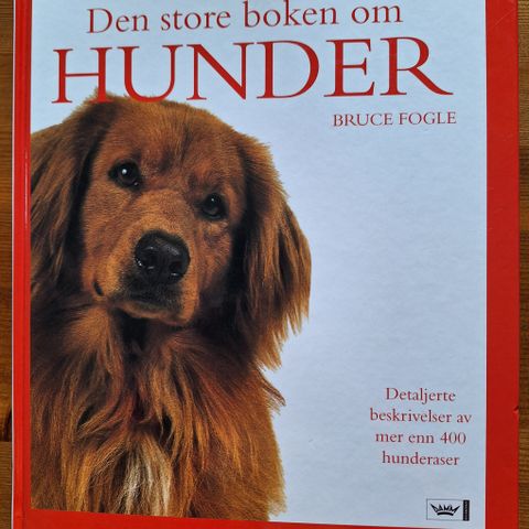 Annonsebilde