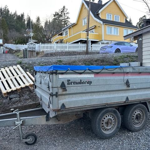 Annonsebilde