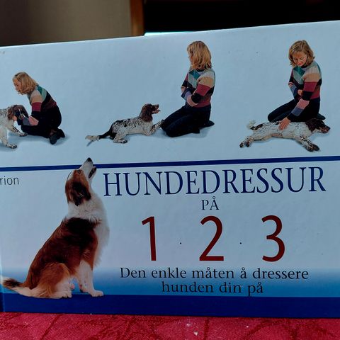 Annonsebilde